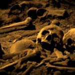 Ancient Bones Remains Ancient Bones Remains Simplyforensic