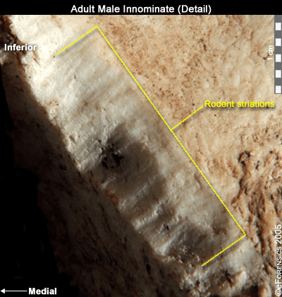 image 1 Simplyforensic