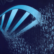 DNA strand unwinding DNA strand unwinding Simplyforensic