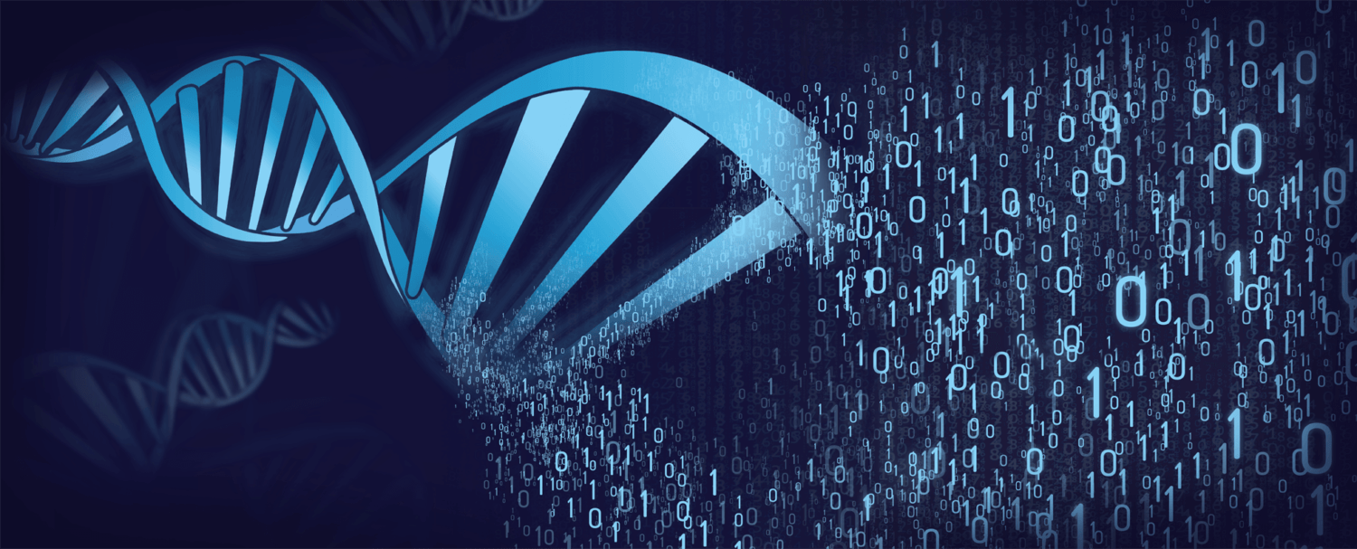 DNA strand unwinding DNA strand unwinding Simplyforensic