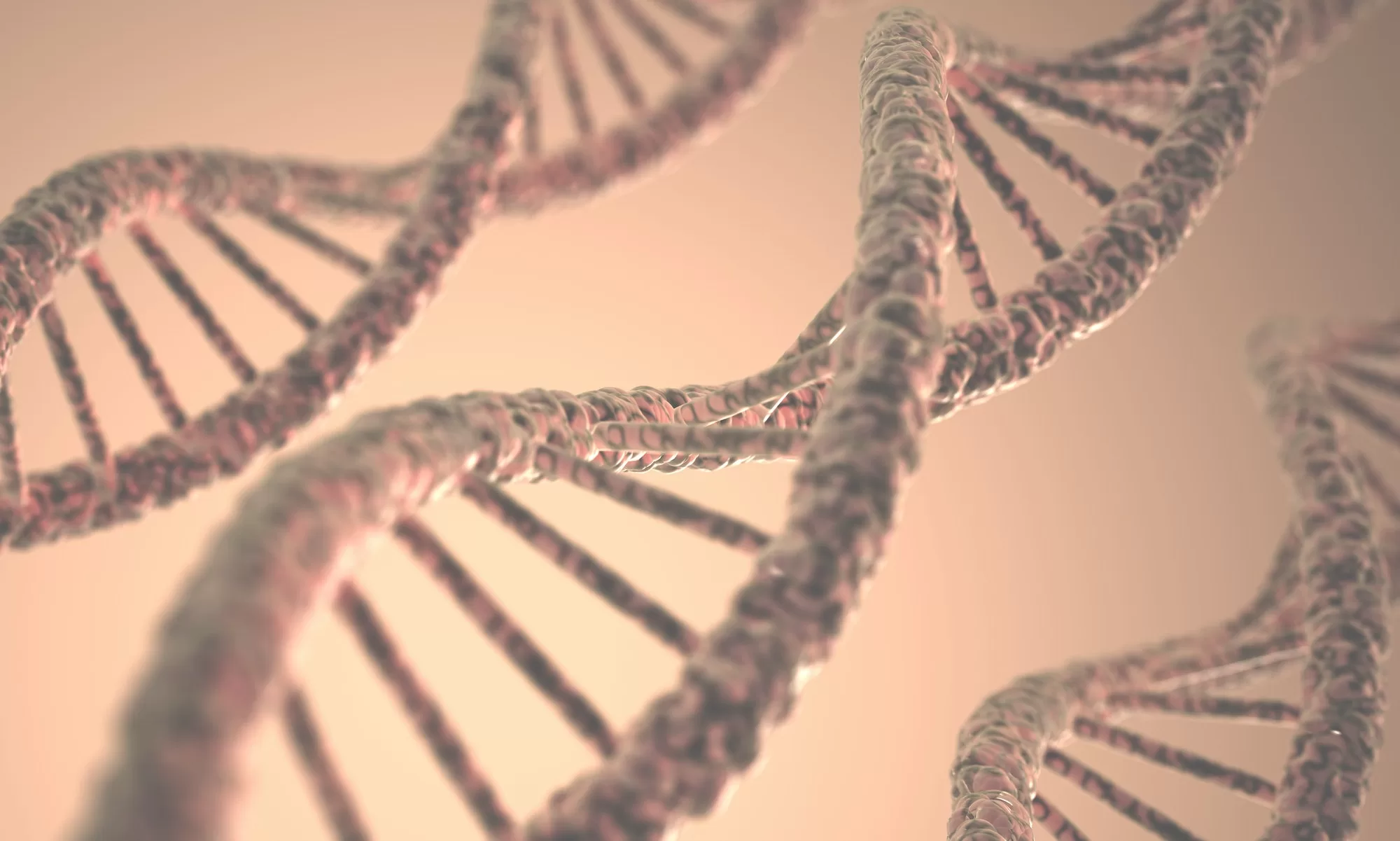 Dna Structure Dna Structure Simplyforensic