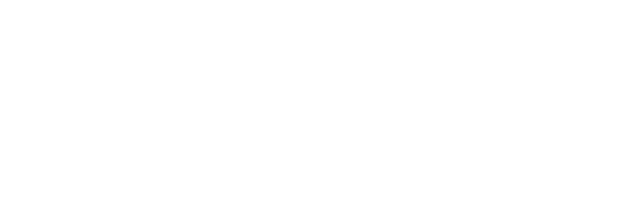 Simplyforensic