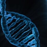 Dna Original Public Domain Image From Wikimedia Commons Dna Original public domain image Simplyforensic