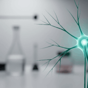 SBI 810 A New Non Opioid Painkiller Offering Targeted Relief Stylized nerve receptor illustrating targeted pain relief from the experimental non opioid painkiller SBI 810 Simplyforensic
