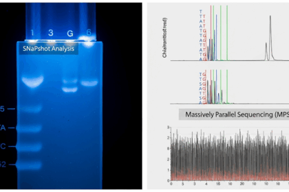 SNaPshot vs MPS for Forensic DNA Analysis Comparative analysis of SNaPshot and Massively Parallel Sequencing MPS for forensic body fluid identification using DNA methylation markers Simplyforensic