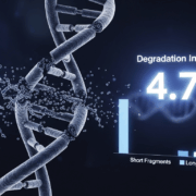 Degradation Index and DNA Profiling137Z A forensic study showing how the degradation index DI of DNA is used to assess DNA degradation and optimize DNA profiling for STR and Y STR analysis Simplyforensic