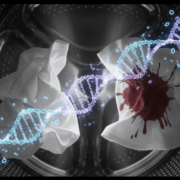 DNA Transfer and Degradation in Laundry Forensic study on DNA transfer in washing machines showing DNA degradation and the contamination risk from extra alleles Simplyforensic
