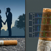 dna transfer persistence cigarette butt forensicwebp Close up of a cigarette butt filter in an evidence bag with a DNA electropherogram overlay showing imbalanced mixture peaks Simplyforensic